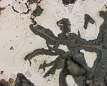 Selective corrosion on cast iron. Magnification 500x Spongiose500.jpg