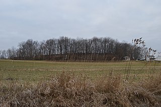 Clear Creek Township, Ashland County, Ohio Township in Ohio, United States