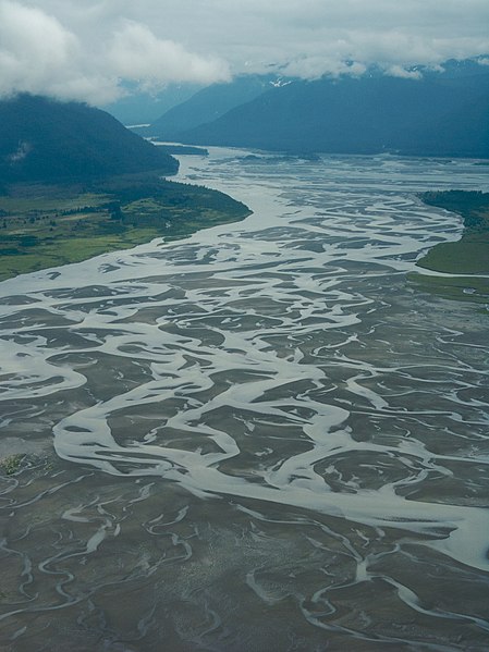 Braided channels of the Stikine River delta, Alaska (2008)