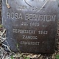 image=File:Stolperstein Fröndenberg Kirchplatz 1 Rosa Bernstein.jpg