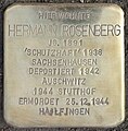 wikimedia_commons=File:Stolpersteine Bremerhaven – Rosenberg, Hermann (Hafenstr. 10).JPG