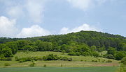 Vorschaubild für Südliche Burgberghänge, Weinberge bei Holenberg und Rühle