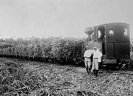 Suikerrietvervoer per trein op de plantage in 1922