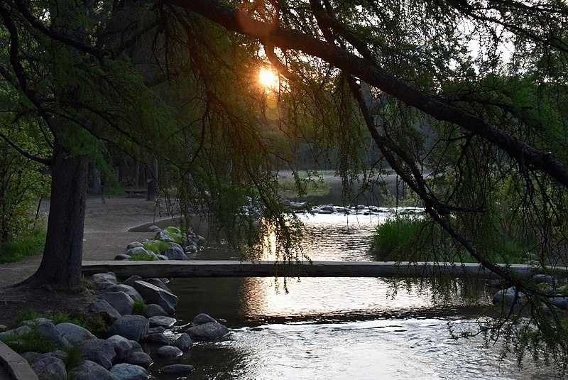 File:Sun rises above the trees at the Mississippi River Headwaters, May 20, 2016.jpg