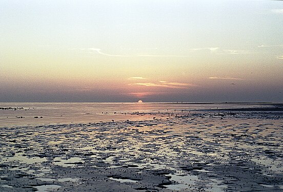 Waves in AlWakra Beach (Qatar).