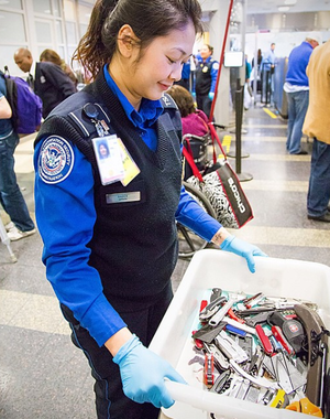 Transportation Security Administration