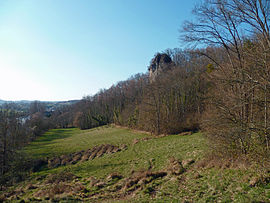 Taurignan-Vieux - Rocher de Roquelaure - 20110306 (1).jpg