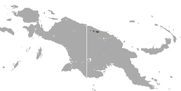 Ареал Dendrolagus scottae