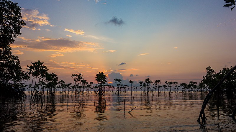 File:Thailand - Koh Phangan (24733426669).jpg