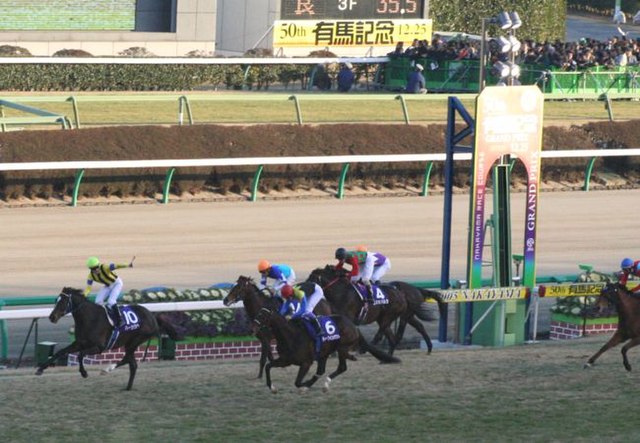 第50回 有馬記念 ハーツクライ ぬいぐるみ | hartwellspremium.com