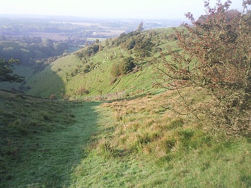 The Devil's Kneading Trough, Wye Downs - geograph.org.uk - 2112930