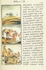 The Florentine Codex- Insects and Inflammations.tif