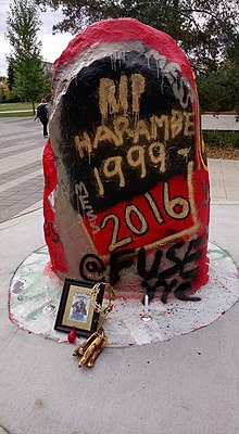 Graffiti on the Rocks are often reflections of student opinions. A prominent example occurred in October 2016, when student activists staged a candlelight vigil for the slain gorilla Harambe, transforming one rock as an makeshift shrine. The Rocks Shrine UCalgary.jpg