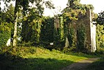The Ruins of Castle Caldwell - and its history - geograph.org.uk - 1113036.jpg
