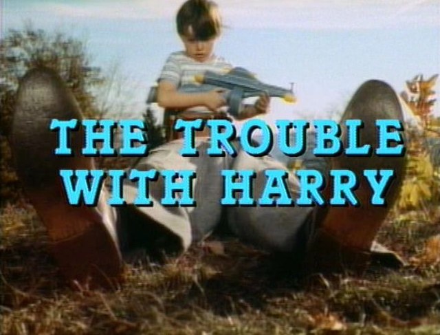 The title shot in the film trailer shows the discovery of Harry by Arnie (Jerry Mathers).