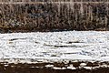 The breaking up of ice in the Tana River in Utsjoki Finland 03.jpg