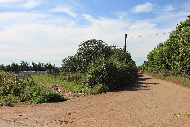 File:The lane to Millend Farm - geograph.org.uk - 3123265.jpg