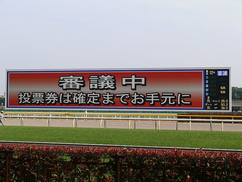 File:Tokyo racecourse turfvision.jpg