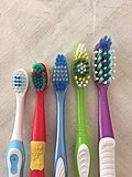 Thumbnail for File:Toothbrushes Sizes.jpg