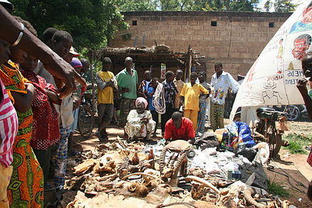 Traditional medicine in Ouagadougou