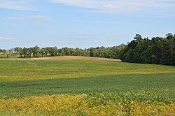 Troy Township soybean fields on Fox Road.jpg