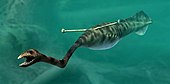 Restoration of the mysterious Carboniferous life-form Tullimonstrum, or the Tully monster Tullimonstrum NT small cropped.jpg