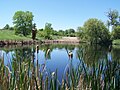 Thumbnail for Two Ponds National Wildlife Refuge