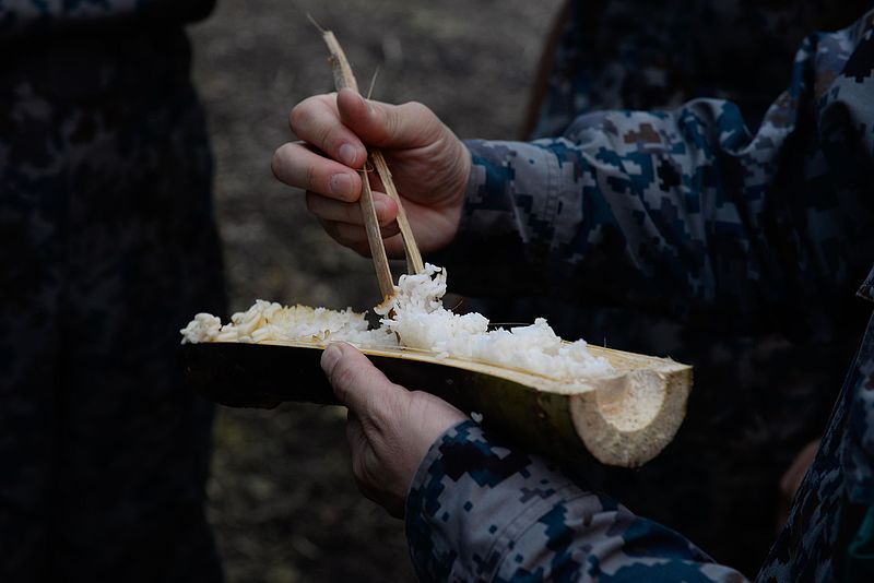 File:US, Japanese Airmen conduct survival training during Cope North 16 160216-F-CH060-341.jpg