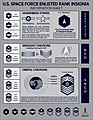 US Space Force Enlisted Rank Insignia Information Sheet.jpg