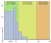 US abortion by gestational age 2004 histogram.svg