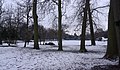 2013-01-17 14:35 Snow on University Park.