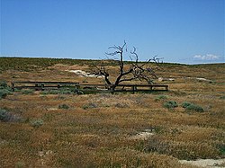 Upper Wells Springs - Boardman Bombing Range Oregon.jpg