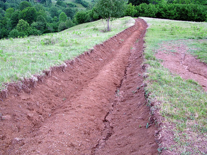 File:Valea Vinului Maramures 03 2009.JPG