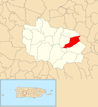 <span class="mw-page-title-main">Vegas Abajo, Adjuntas, Puerto Rico</span> Barrio in Adjuntas, Puerto Rico