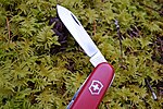 Victorinox knife tang