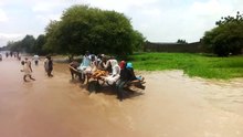 File:Vidéo transport au Tchad.webm