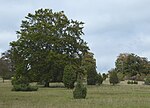 Volkmarsberg (Naturschutzgebiet)