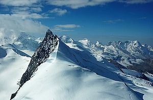 Rimpfischhorn, katsottuna Allalinhornista