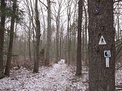 Warner Trail and Bay Circuit Trail through the sanctuary