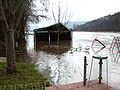 2007年3月21日 (水) 13:36時点における版のサムネイル