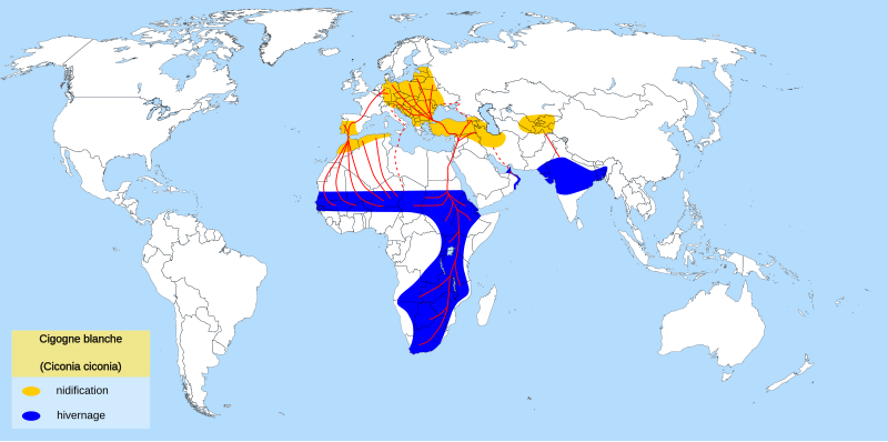 File:White Stork migration map-fr.svg