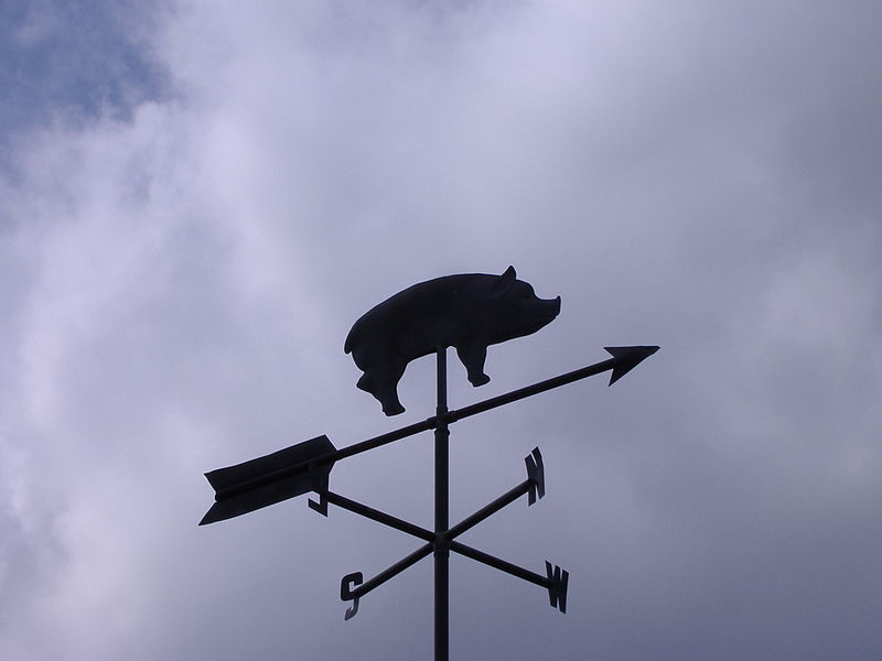 File:Wilber's BBQ - Pig vane.jpg