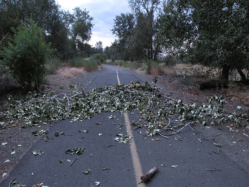 File:Windstorm damage along Yakima Greenway (9564394471).jpg