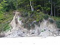 A cliff in the Wolin National Park (Poland)