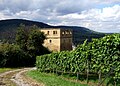 Die Yburg in den Weinbergen von Nord-Osten gesehen