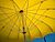 Yellow umbrella.jpg