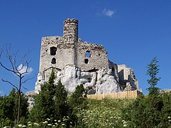 Ruinoj de Mirów Castle