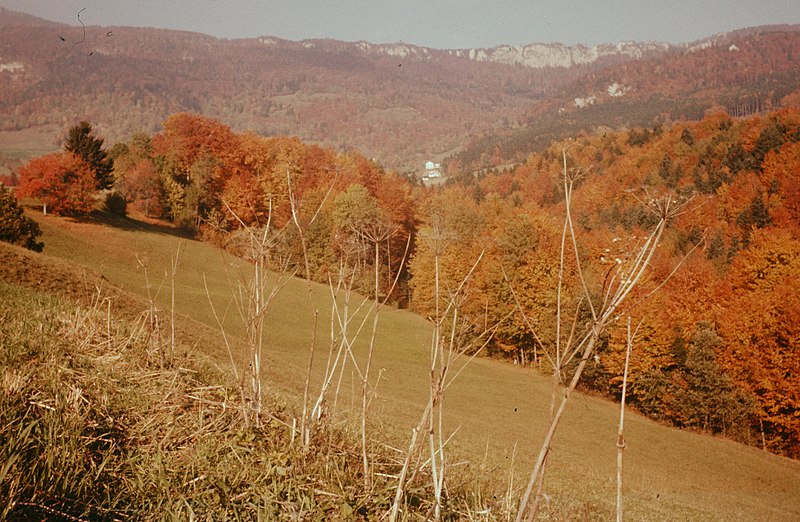 File:Zentralbibliothek Solothurn Ernst Klöti 0407 Rohrgraben.jpg