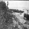 טיול קבוצתי של ציונים בגרמניה לארץ ישראל ב- 1913. הירדן וכנרת (Jordan am Tibrtia-PHAL-1619687.png