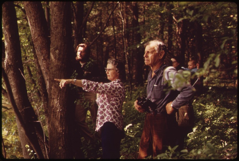 File:"FERN FREAKS" FOLLOW THE SHORE OF THE NISSITISSET RIVER, A BRANCH OF THE NASHUA, IN SEARCH OF RARE FERNS, LADY... - NARA - 553357.tif